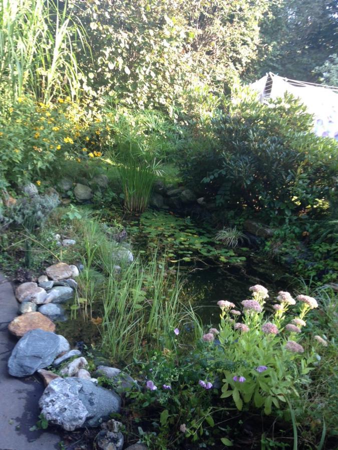 Hunde und Kinder sind in der Gartenwohnung Gretl mit Biotop in Seenähe herzlich willkommen Seeboden am Millstätter See Exterior foto