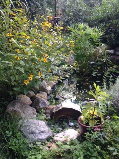 Hunde und Kinder sind in der Gartenwohnung Gretl mit Biotop in Seenähe herzlich willkommen Seeboden am Millstätter See Exterior foto
