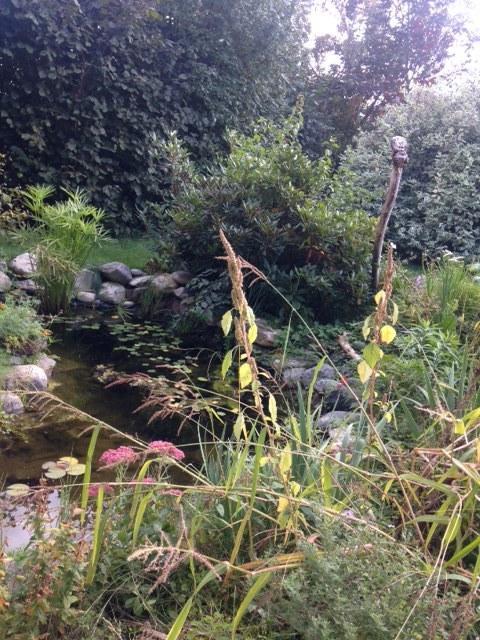 Hunde und Kinder sind in der Gartenwohnung Gretl mit Biotop in Seenähe herzlich willkommen Seeboden am Millstätter See Zimmer foto