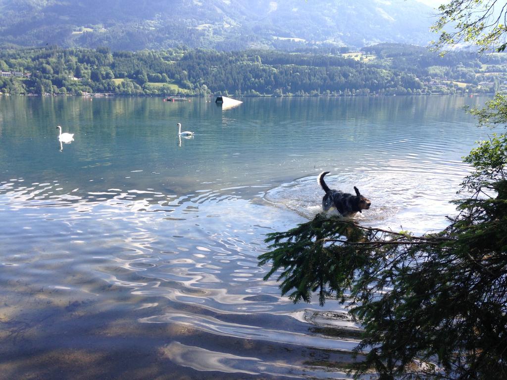 Hunde und Kinder sind in der Gartenwohnung Gretl mit Biotop in Seenähe herzlich willkommen Seeboden am Millstätter See Zimmer foto
