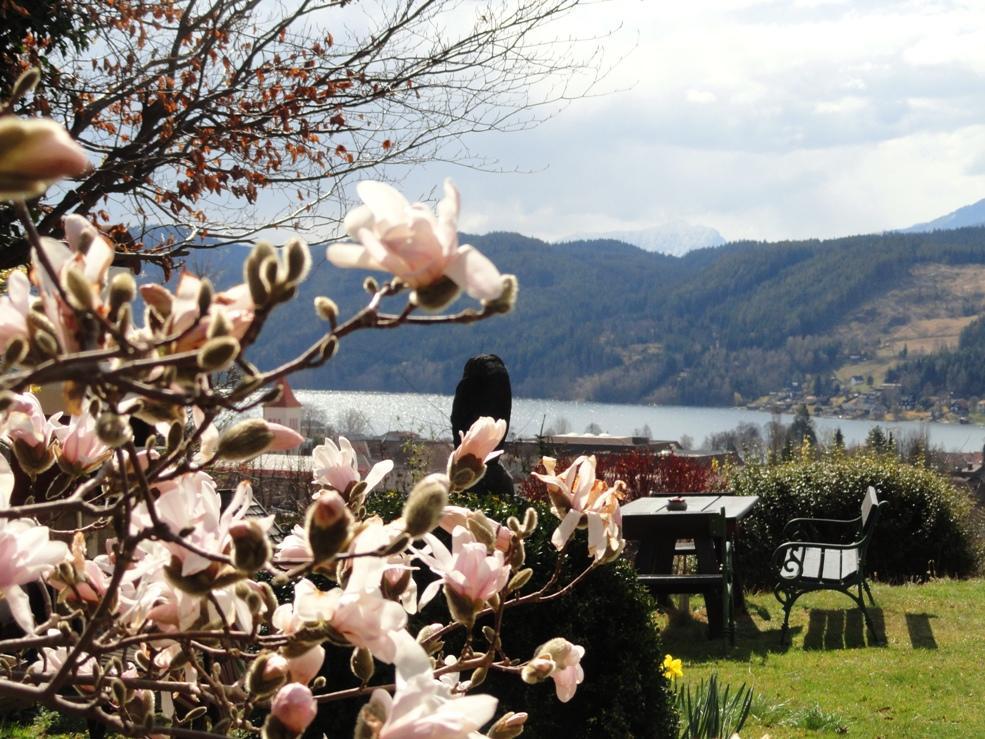 Hunde und Kinder sind in der Gartenwohnung Gretl mit Biotop in Seenähe herzlich willkommen Seeboden am Millstätter See Exterior foto