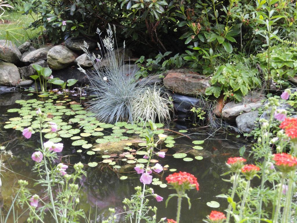 Hunde und Kinder sind in der Gartenwohnung Gretl mit Biotop in Seenähe herzlich willkommen Seeboden am Millstätter See Exterior foto
